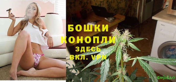 дурь Бронницы
