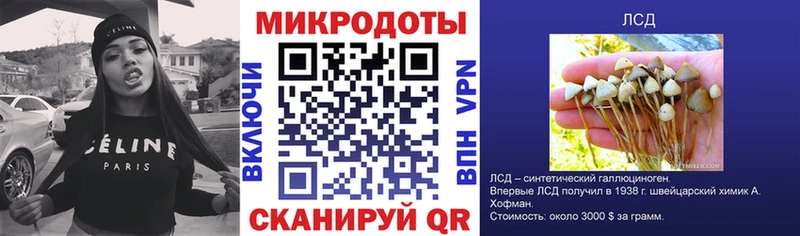 где продают   Выкса  Галлюциногенные грибы прущие грибы 